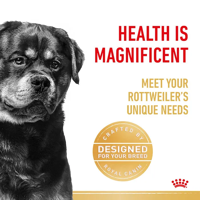ROYAL CANIN Rottweiler Adult Dry Dog Food 12KG - Image 3
