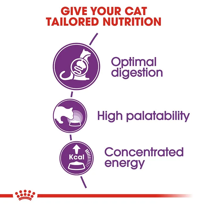 ROYAL CANIN Sensible 33 Dry Cat Food 4KG - Image 2