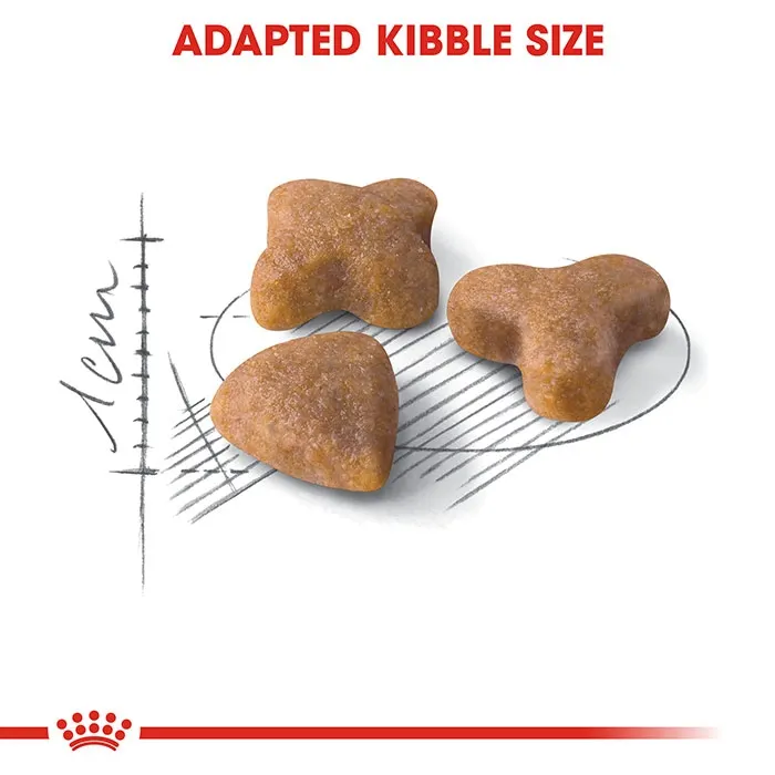 ROYAL CANIN Sensible 33 Dry Cat Food 4KG - Image 3