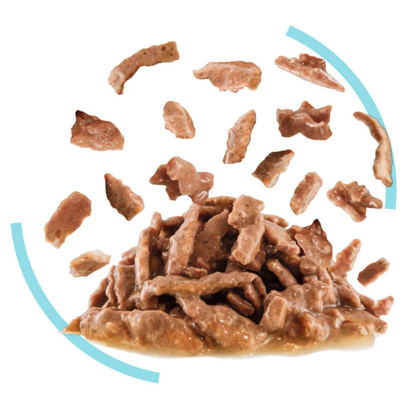 Royal Canin Sensory Feel Gravy Wet Cat Food Pouches 85G x 12 - Image 3