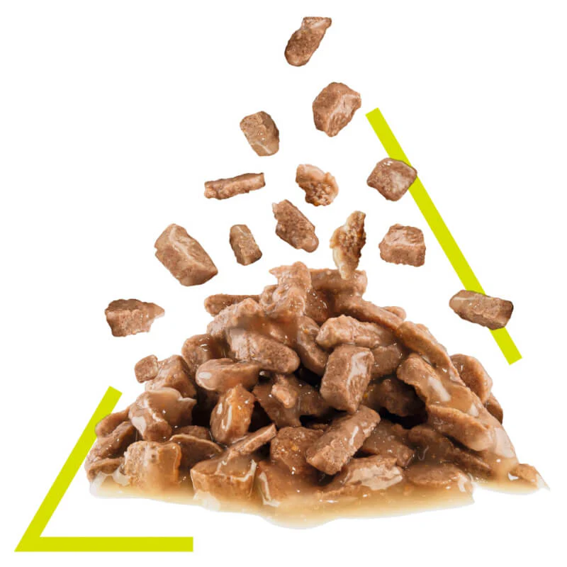 Royal Canin Sensory Smell Gravy Wet Cat Food Pouches 85G x 12 - Image 3